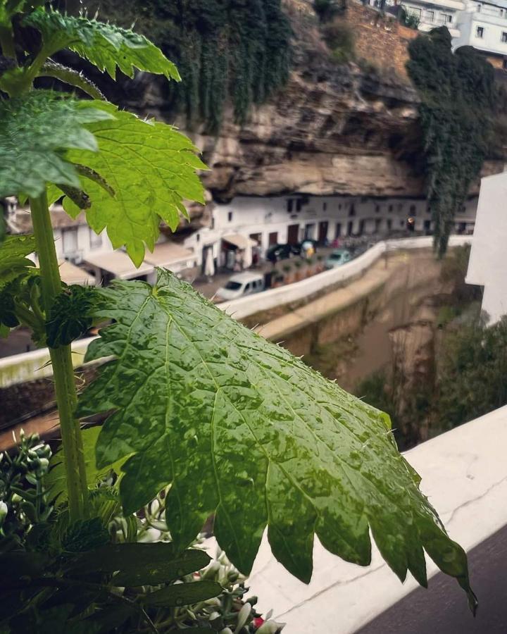Casa Bajo La Roca Vila Setenil De Las Bodegas Exterior foto